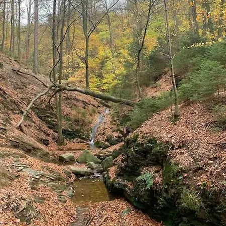 L'ecluse Simon * Tilff