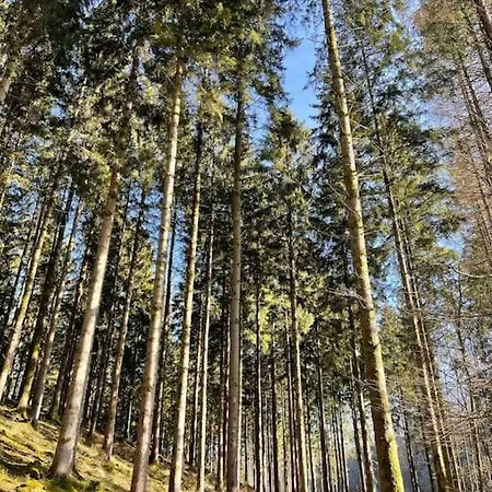 بيت للعطل L'ecluse Simon *