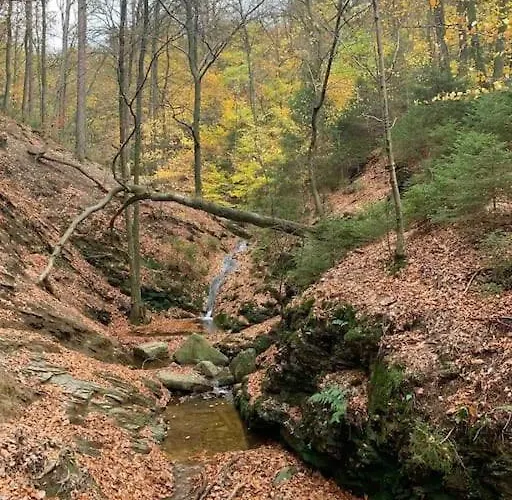 L'ecluse Simon * Tilff