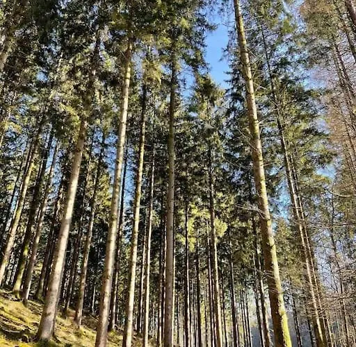 Holiday home L'ecluse Simon *